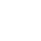 Vegan